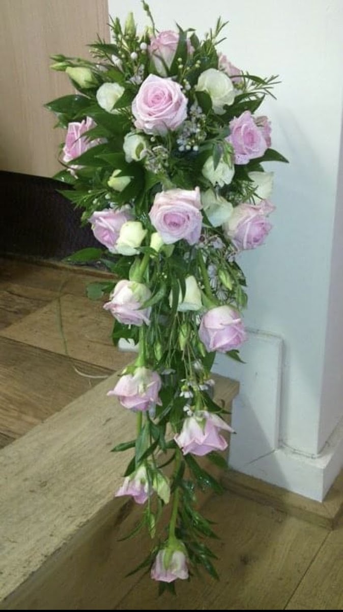 Beautiful Blooms