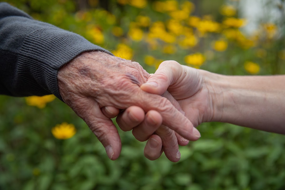 Bluebird Care Ipswich, Bury St Edmunds & Stowmarket and Felixstowe