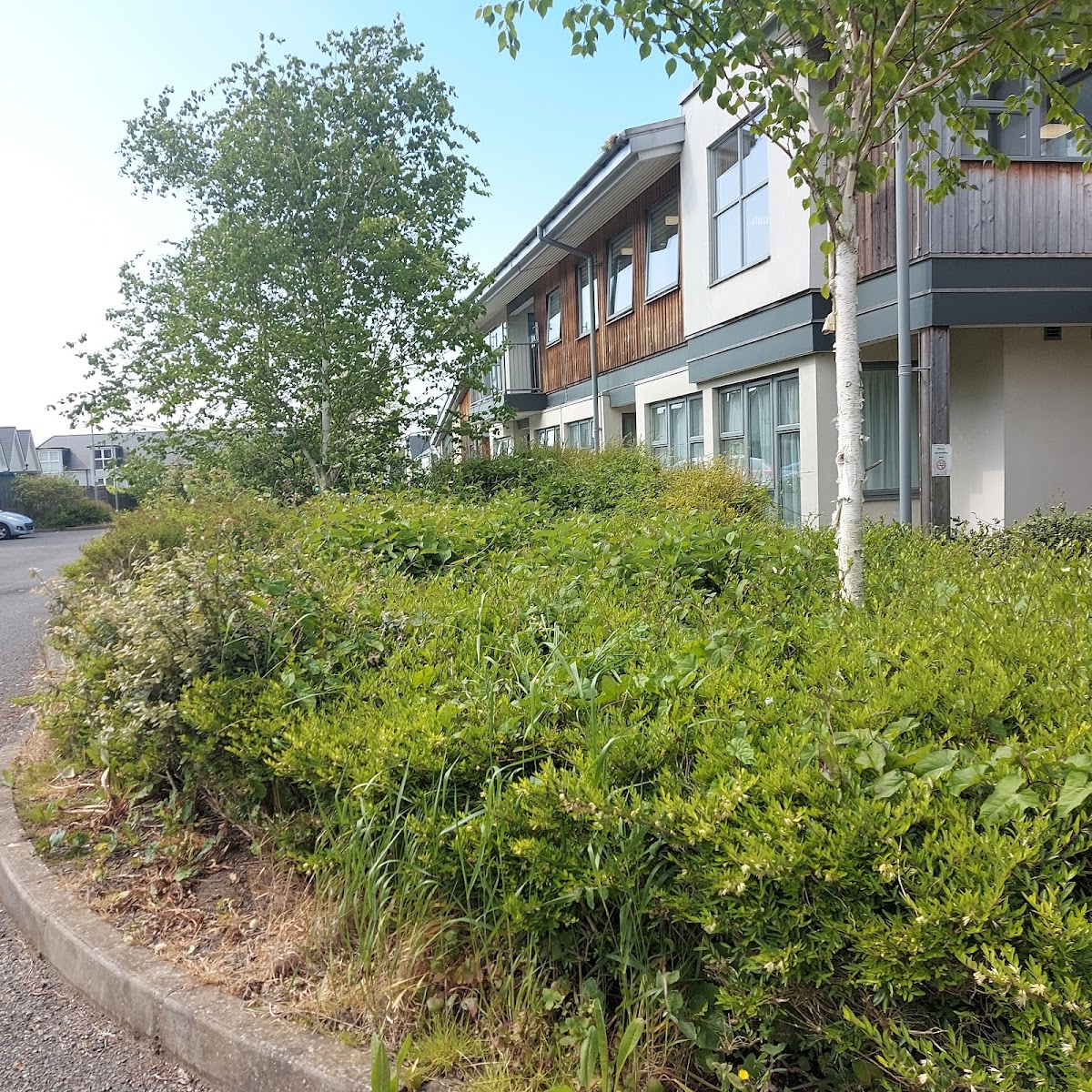 Broadmeadow Registered Care Centre