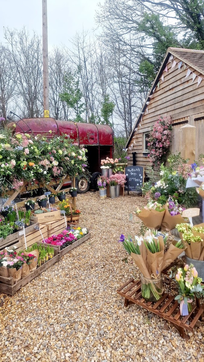 Bud & Flower Workshops | Flower Delivery | Florists | Gift Bouquets | Eco Friendly Funeral Flowers