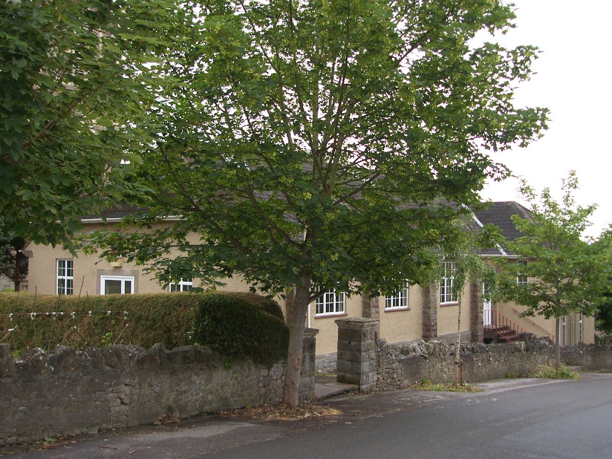 Clevedon Care