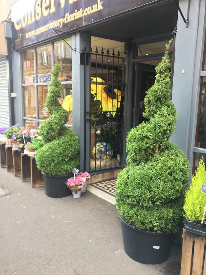 Conservatory Florist