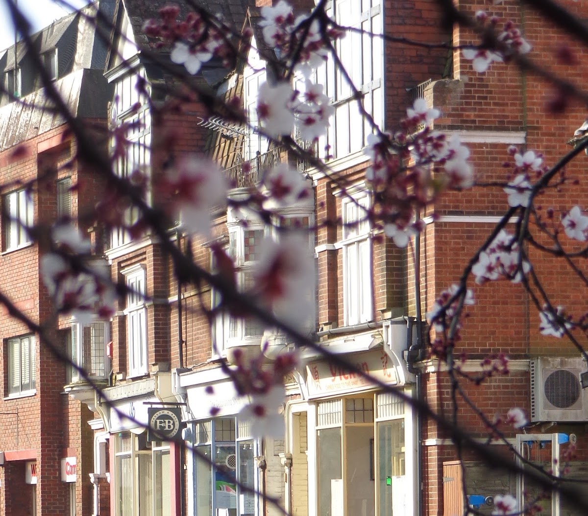 Cowans Solicitors LLP
