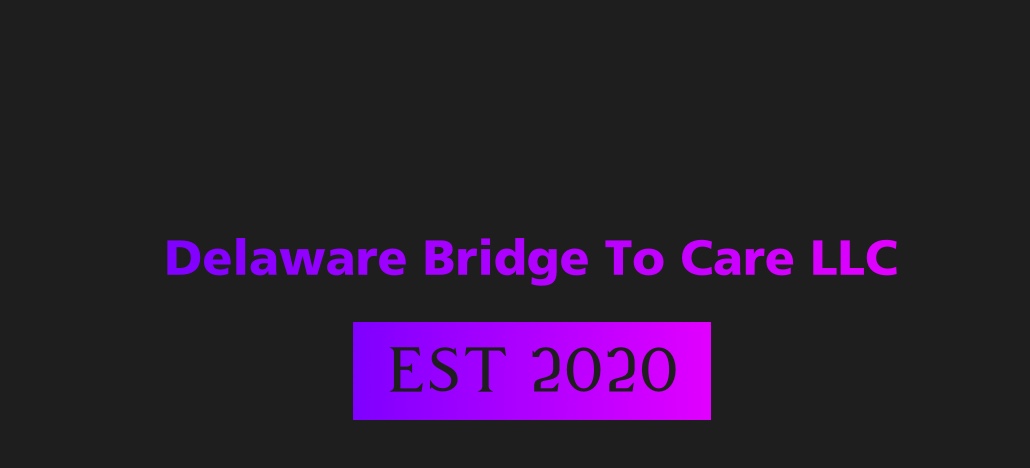Delaware Bridge To Care LLC