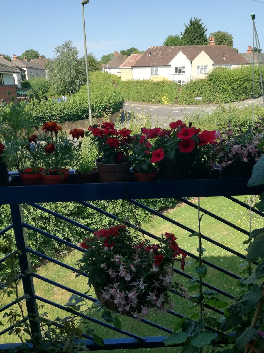 Dray Court Sheltered Housing for the Elderly
