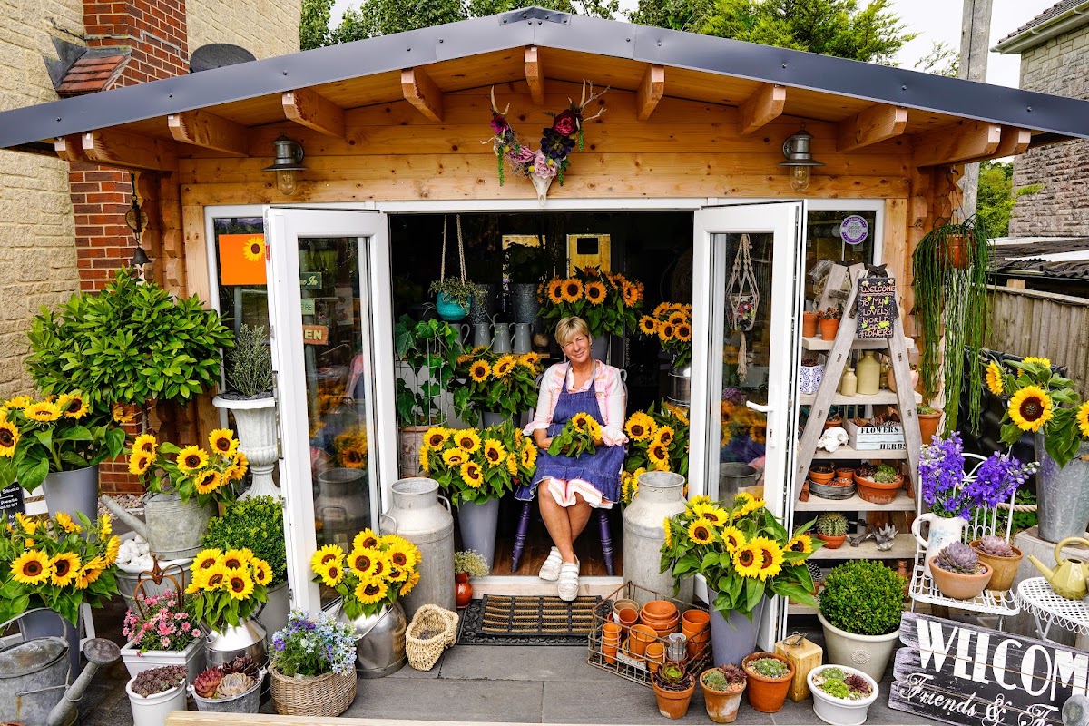 Fiona Penny at Sunflowers