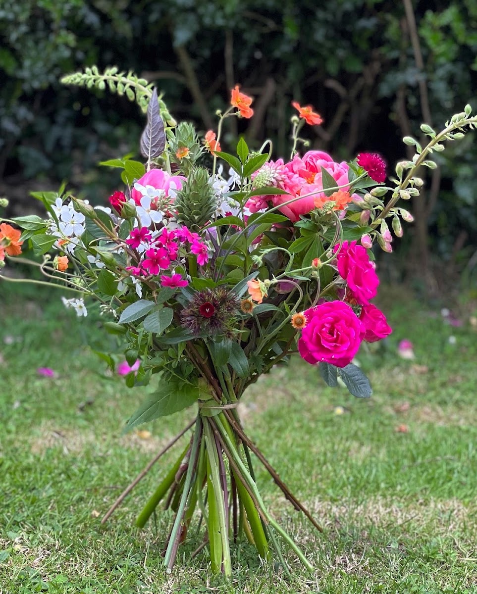 Flower Pasture