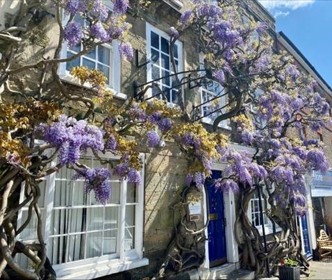 Glanvilles Anderson Rowntree – Petworth