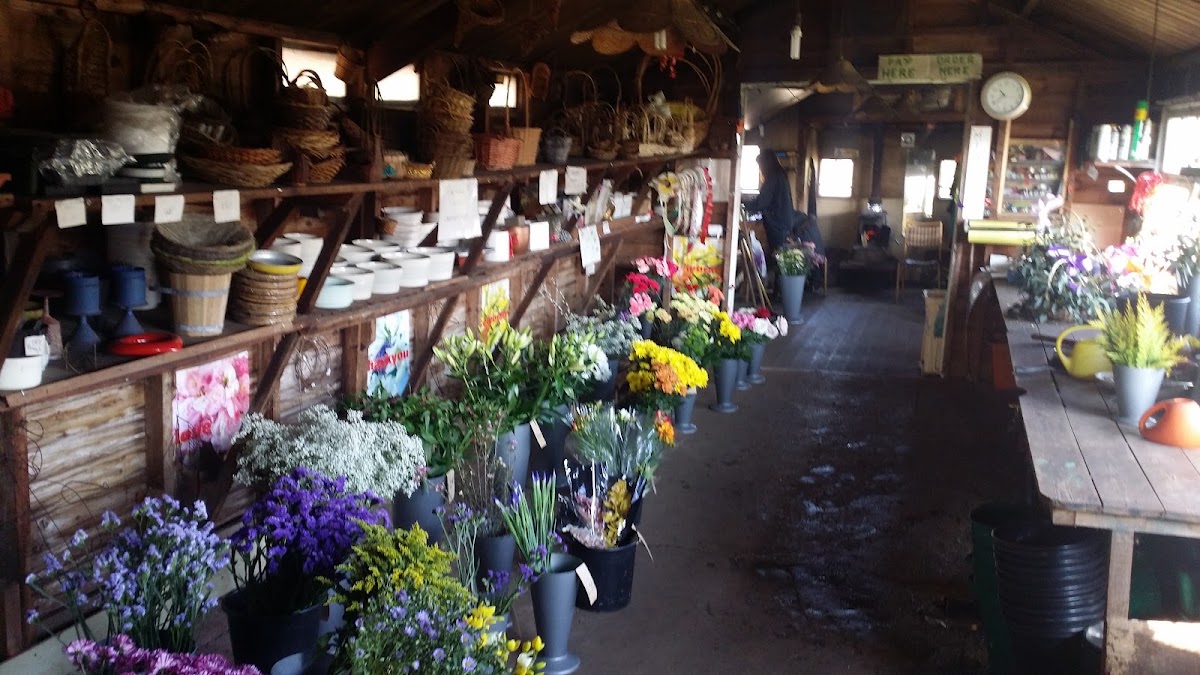 Hilltop Nurseries