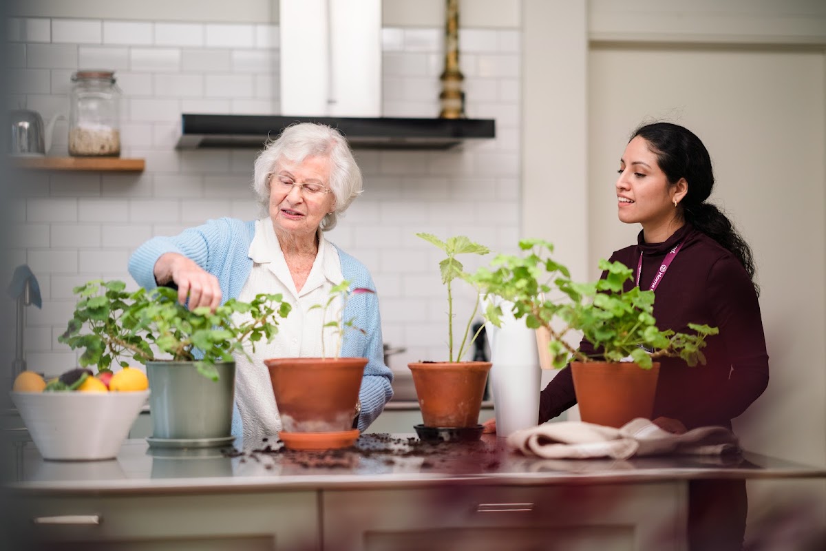 Home Instead Mansfield – Home Care & Companionship