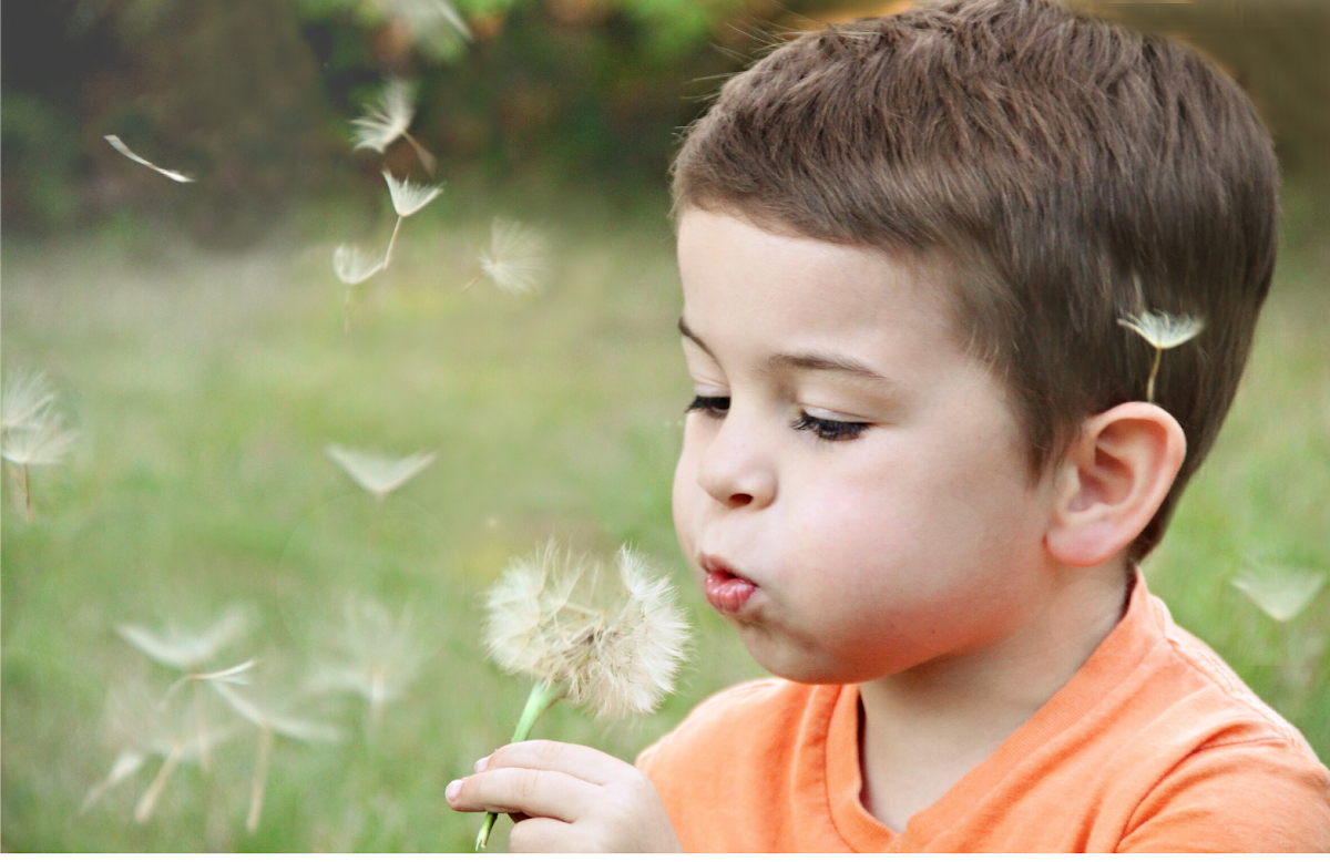 Jigsaw South East – children and young peoples bereavement charity