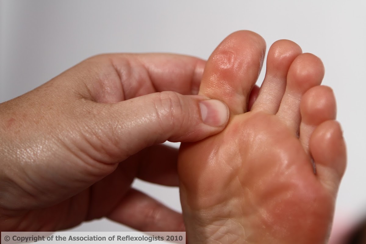 Lakes Reflexology