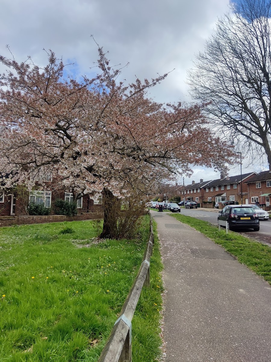 Langley Green & Ifield Children & Family Centre