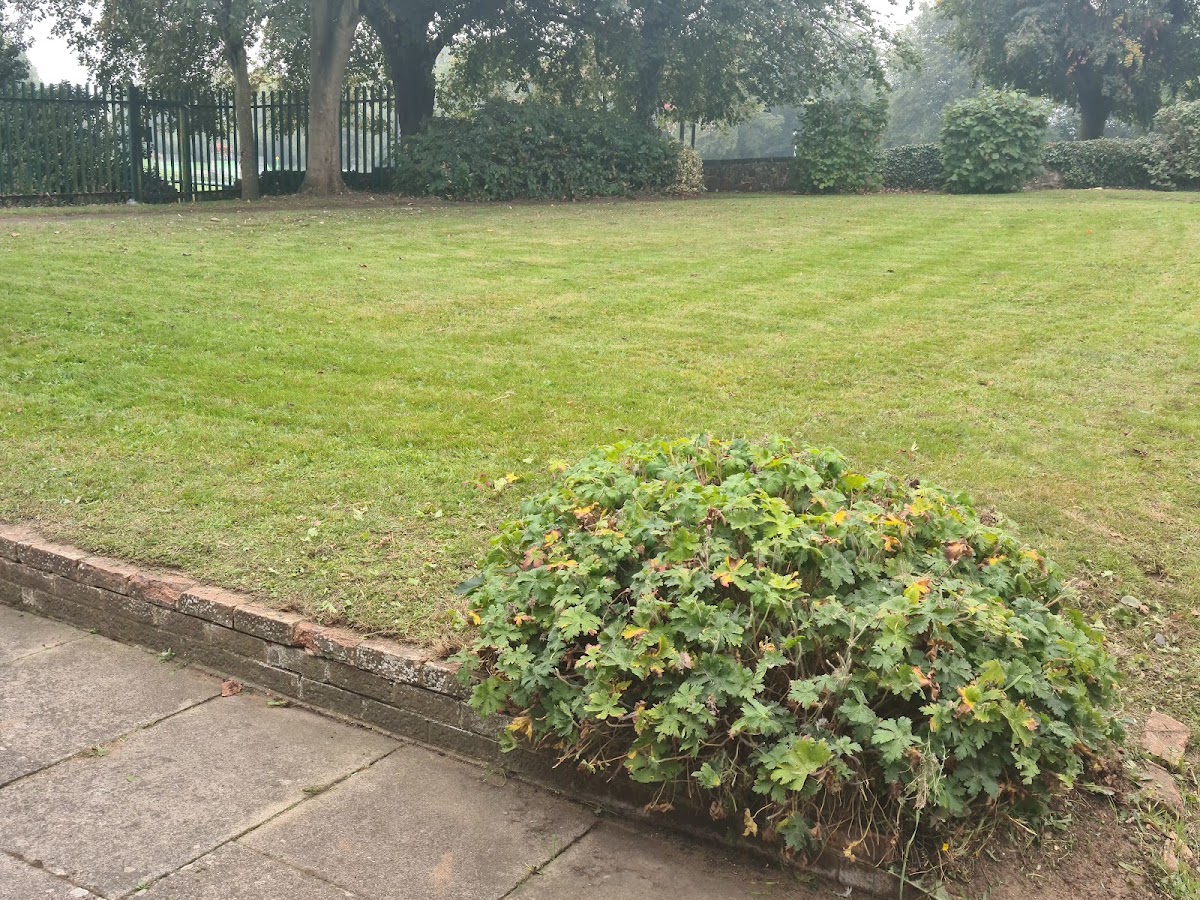 Leighton Buzzard Day Centre