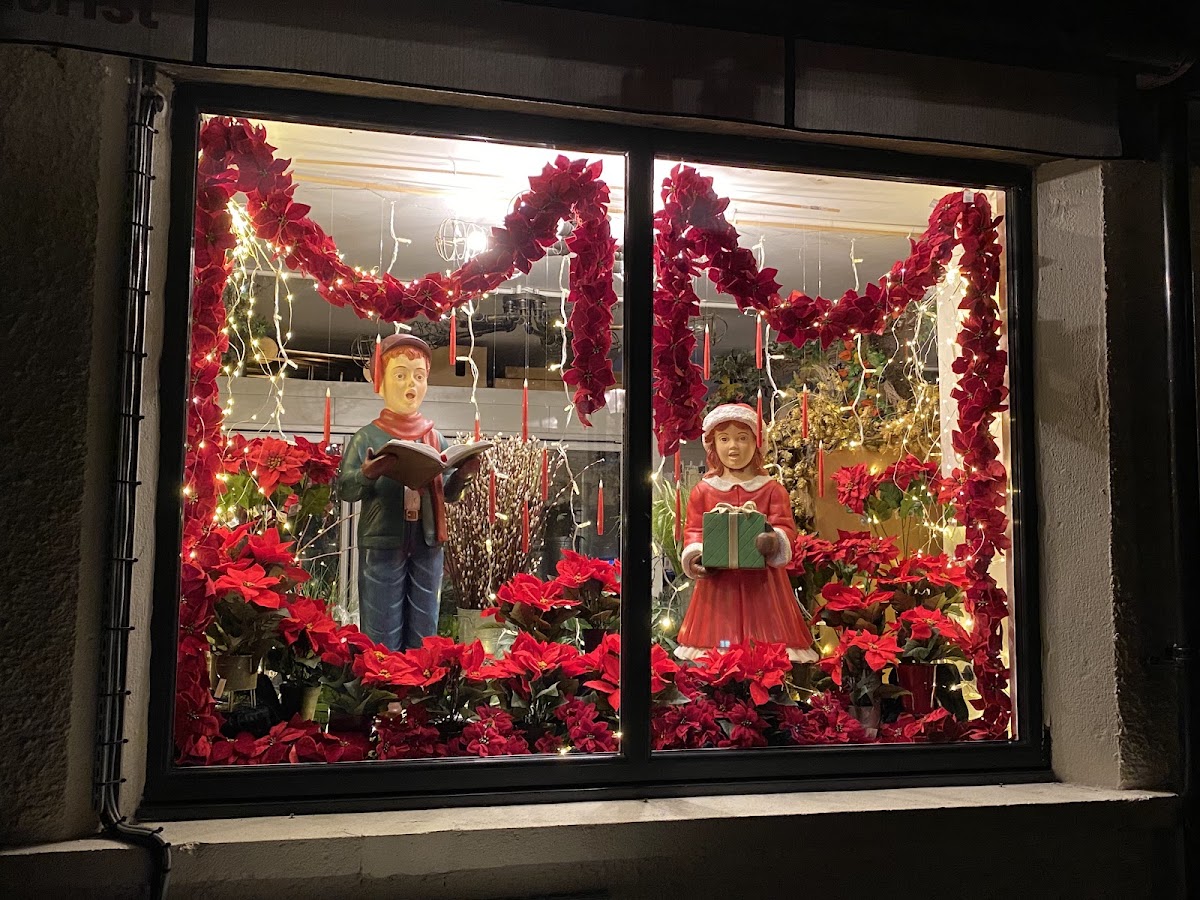 LilyLou’s of Ambleside