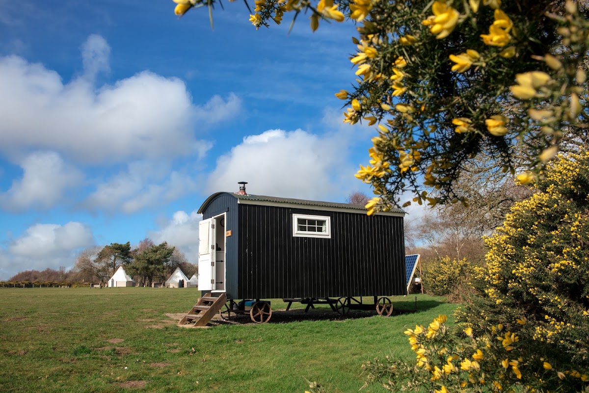 Longthorns Farm ltd
