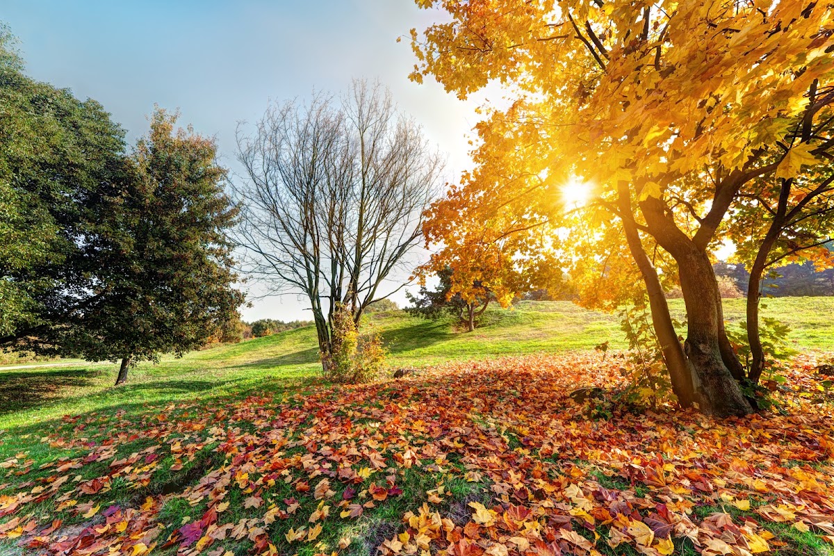 Melton, Rutland and The Vale Direct Cremation
