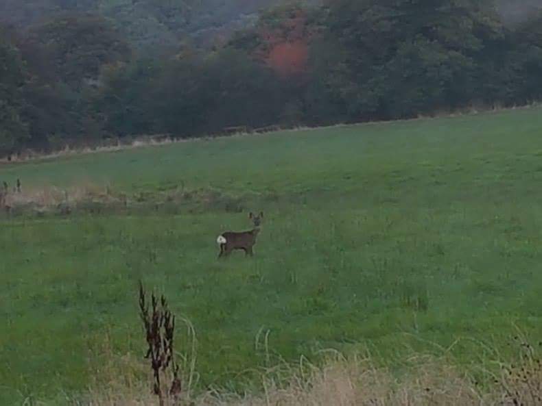 New Warlands Farm