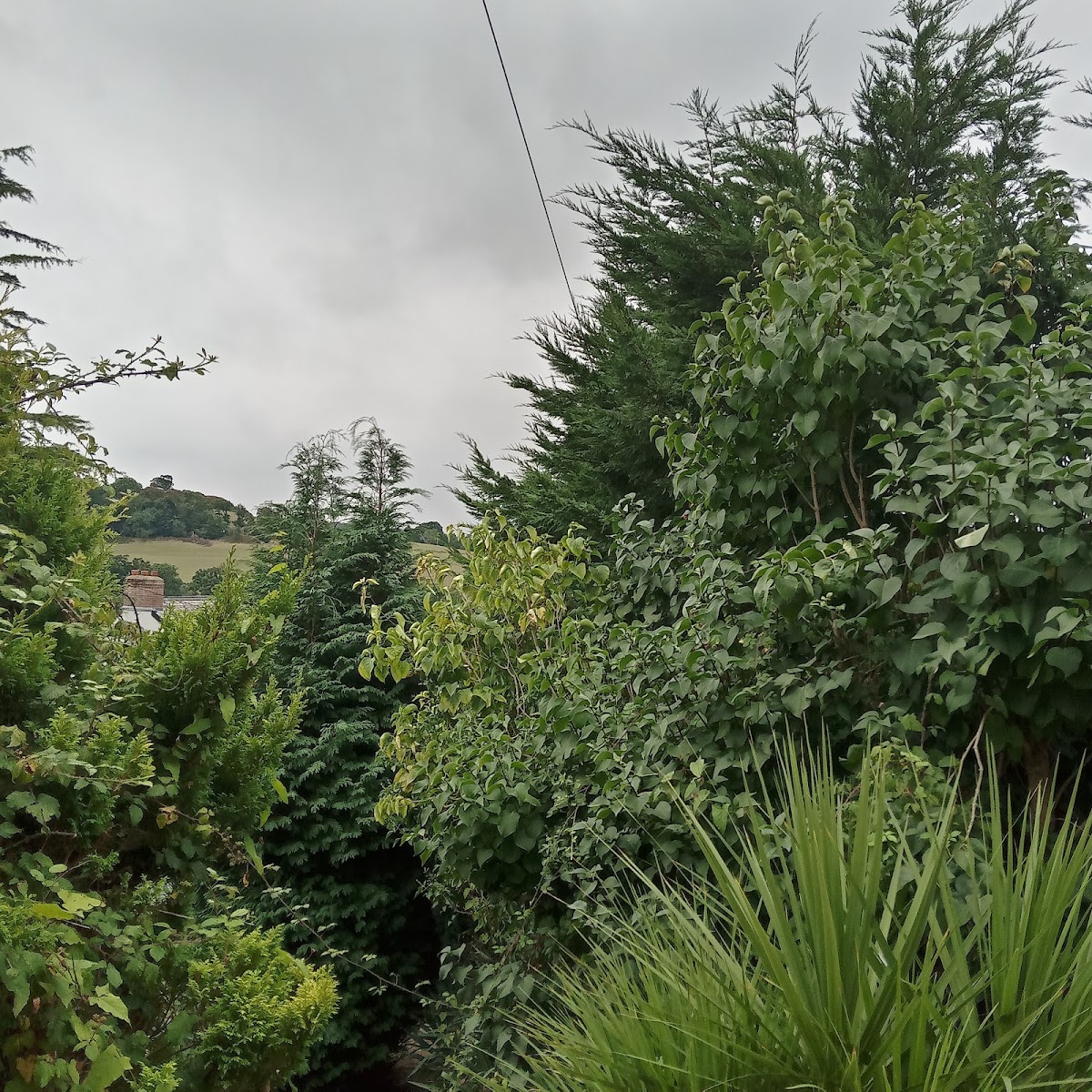North Devon Homes