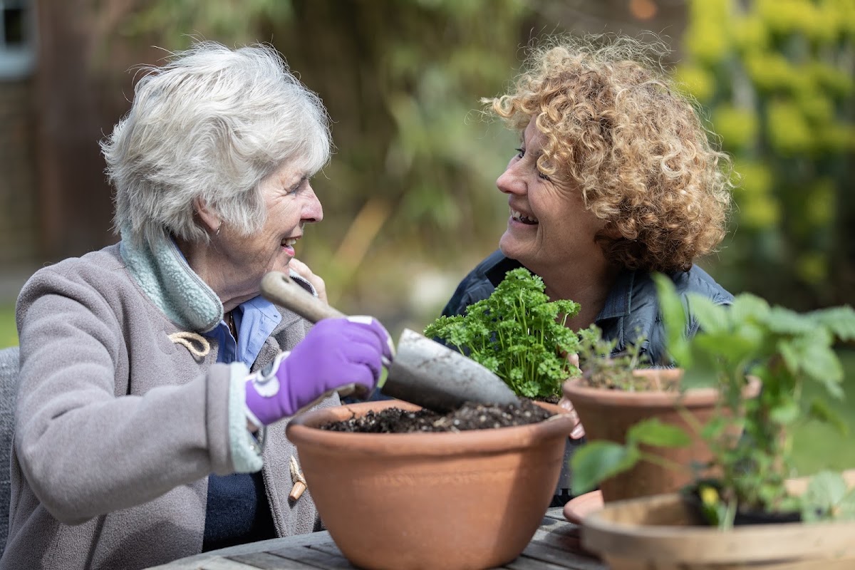 Oxford Aunts Care – Home Care Oxford