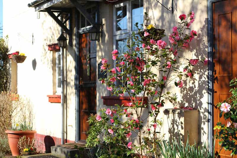 Penhill Residential Home