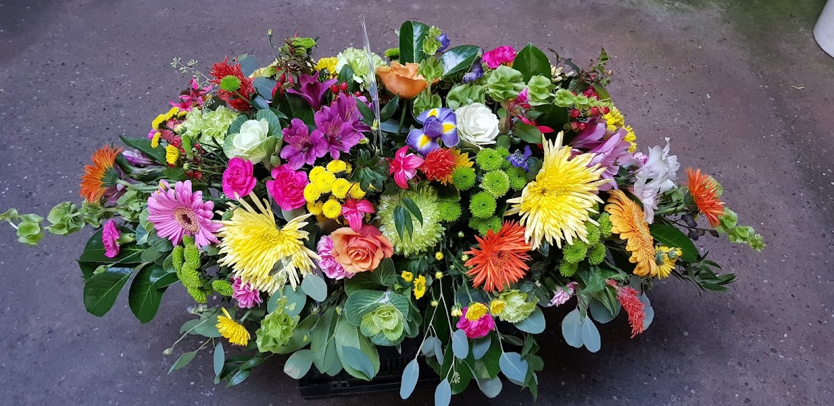 Rolfe’s Family Funeral Service