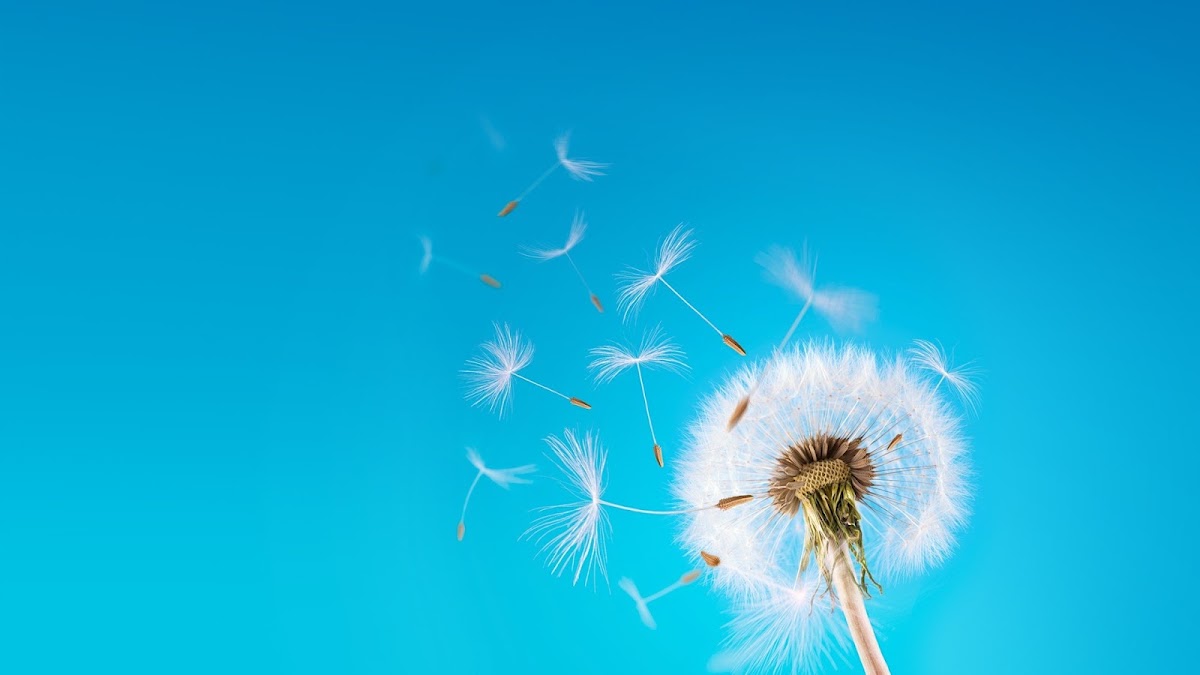 S J Drury & Associates Ltd Wills & Estate Planning