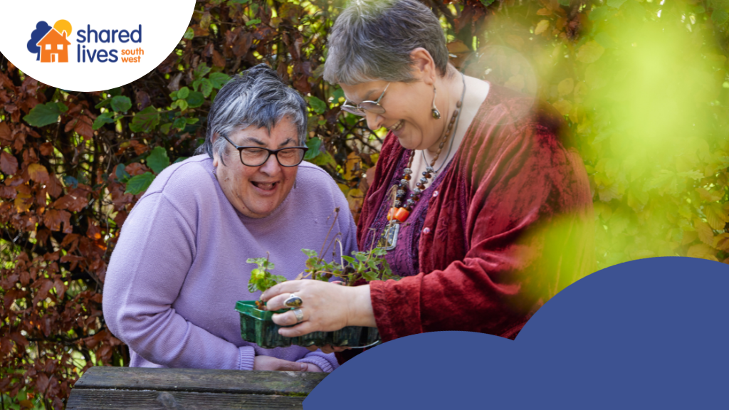 Shared Lives South West