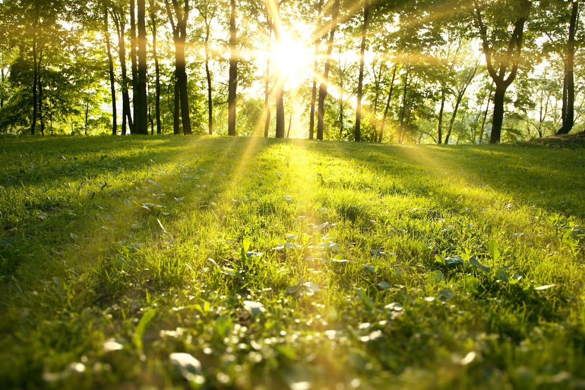 Shoobridge Funeral Services Honiton