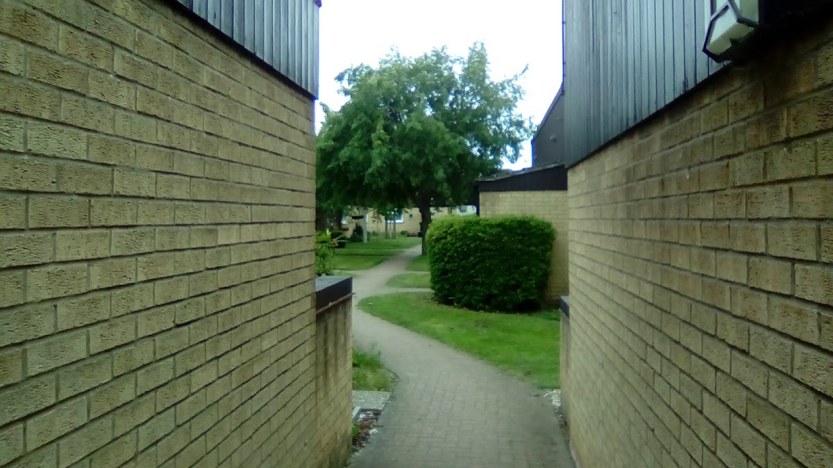 Silver Birch Court