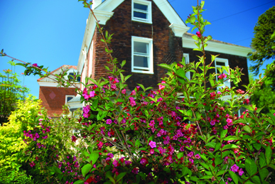 Stonehaven Care Group