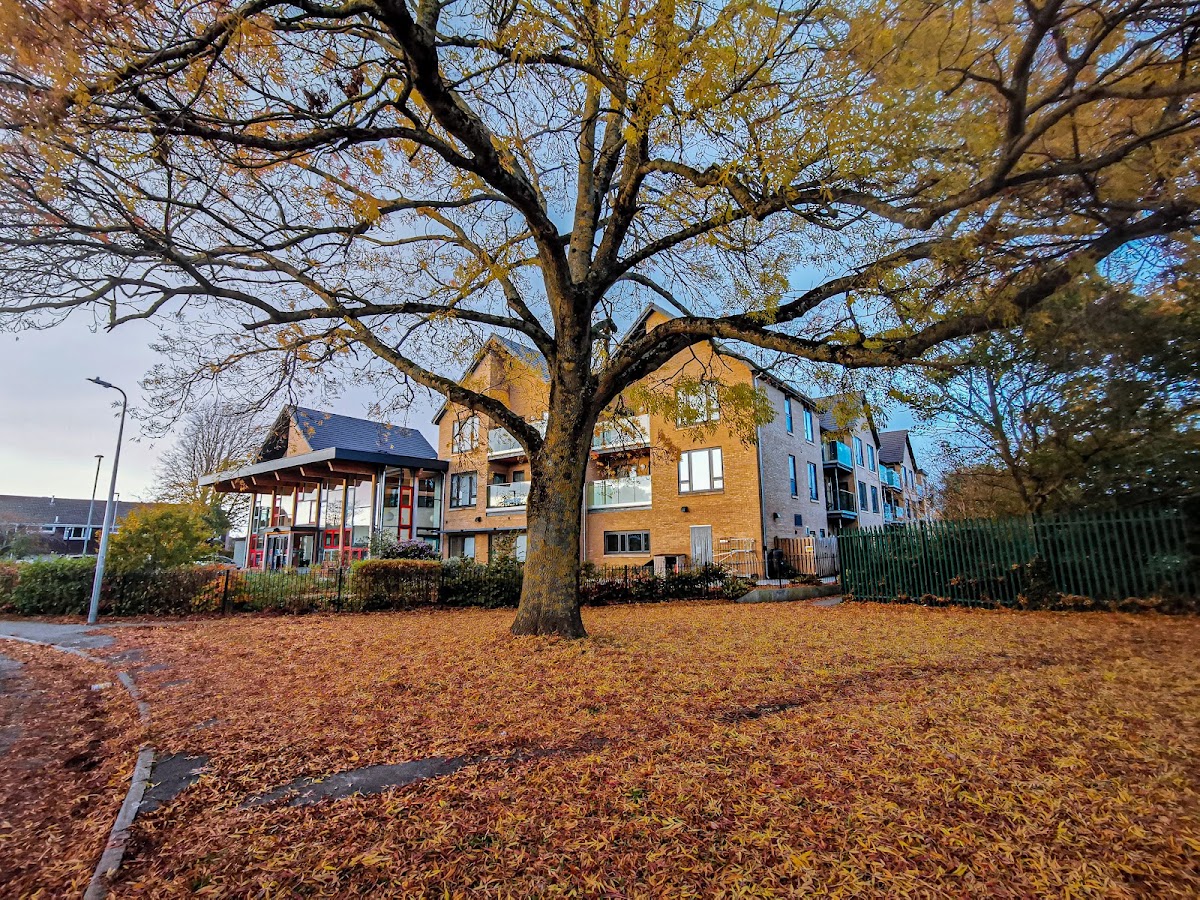 Tamar court