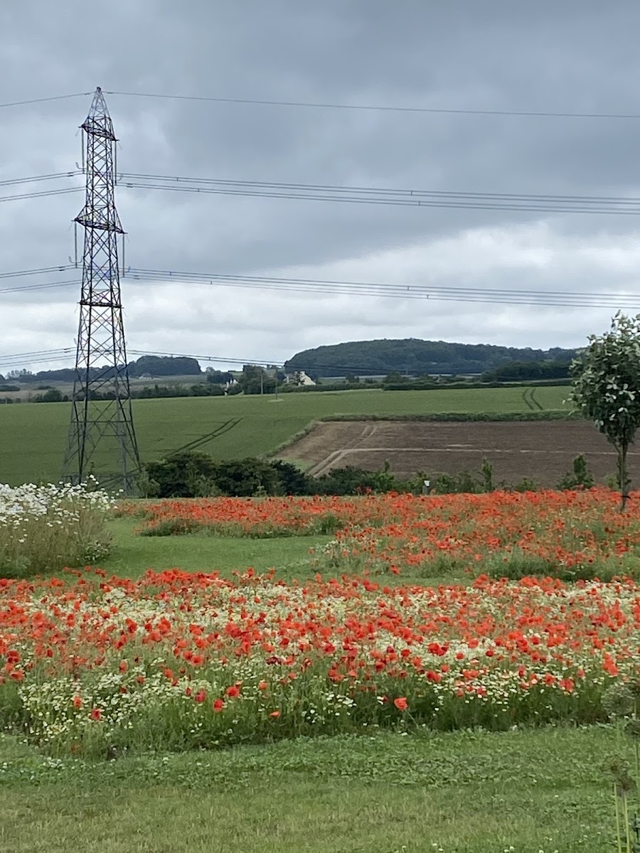 Thames View Crematorium & Cemetery