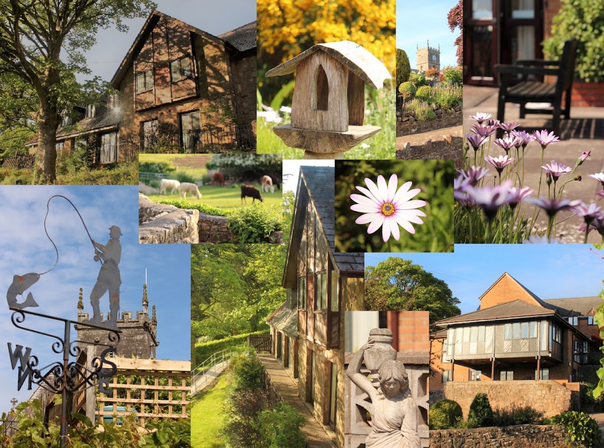 The Elms Care Home