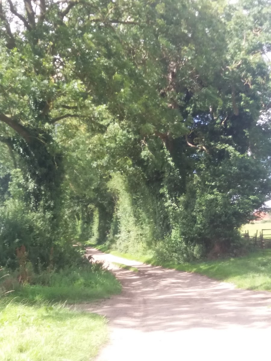 The Grove Residential Care Home