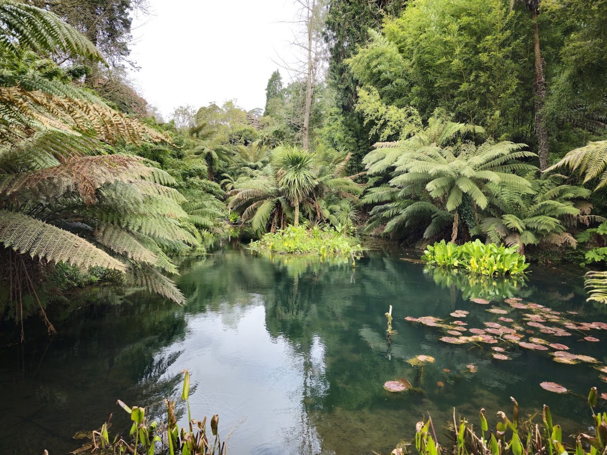The Lost Gardens of Heligan