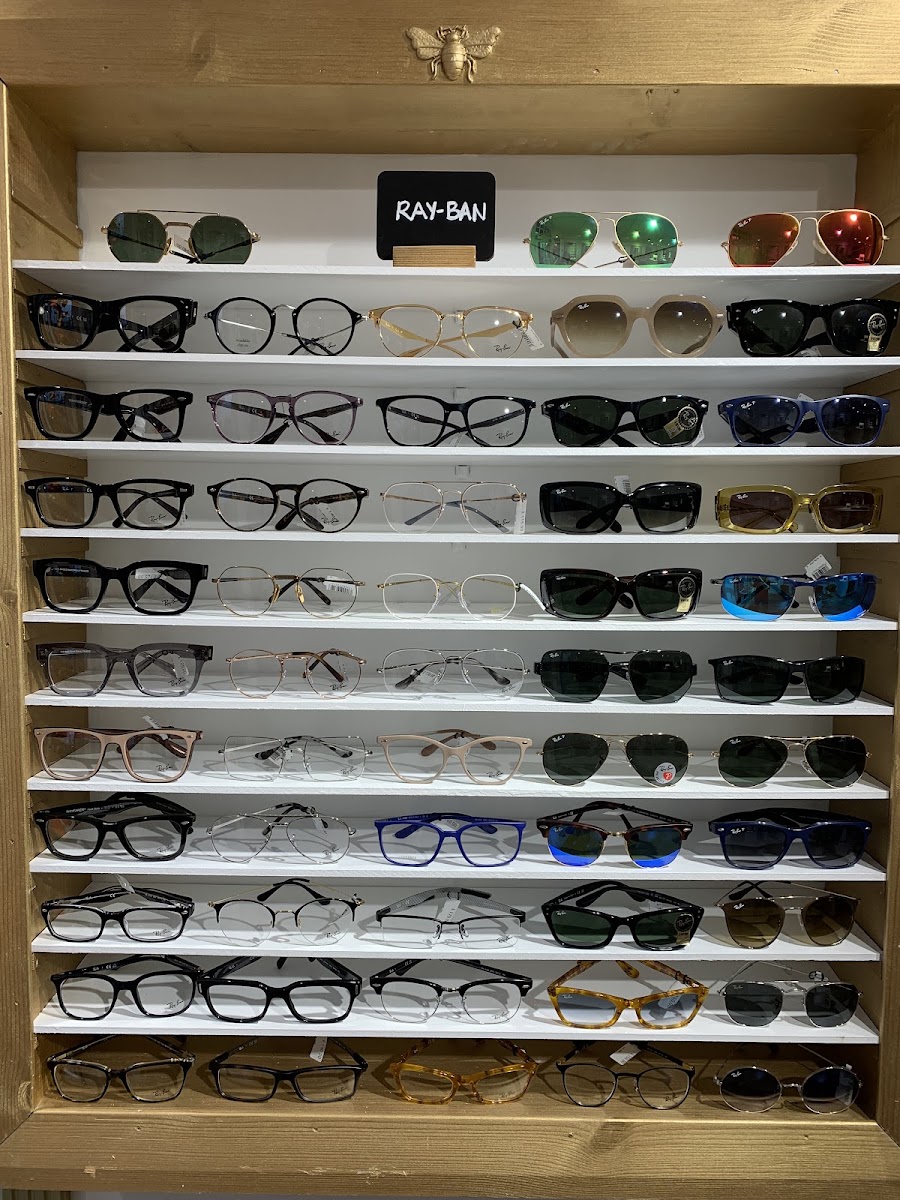 The Optical Studio – Dorking