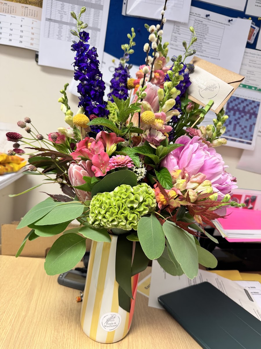 Thistle & Waxflower