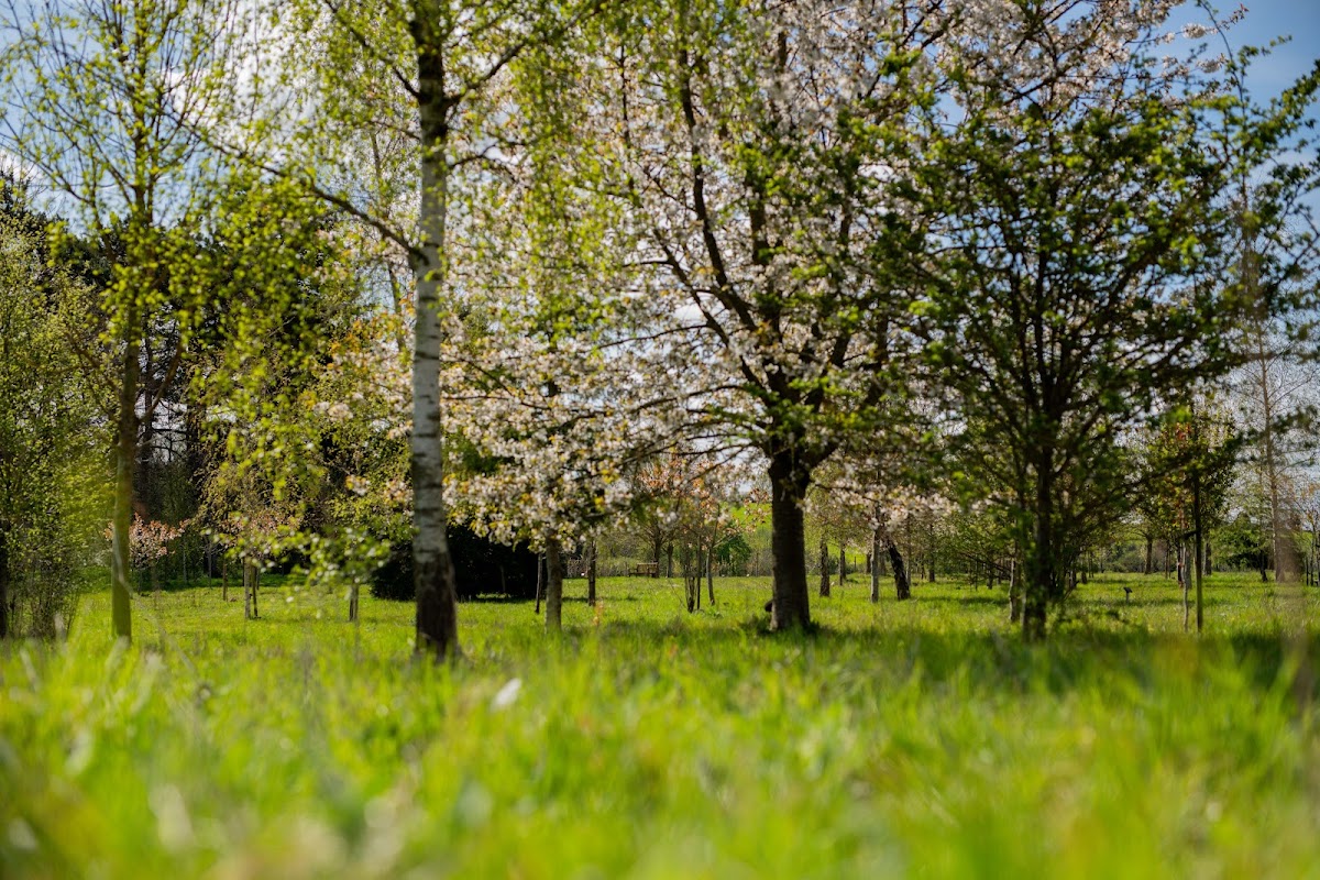 Tithe Green Natural Burial – Ketton