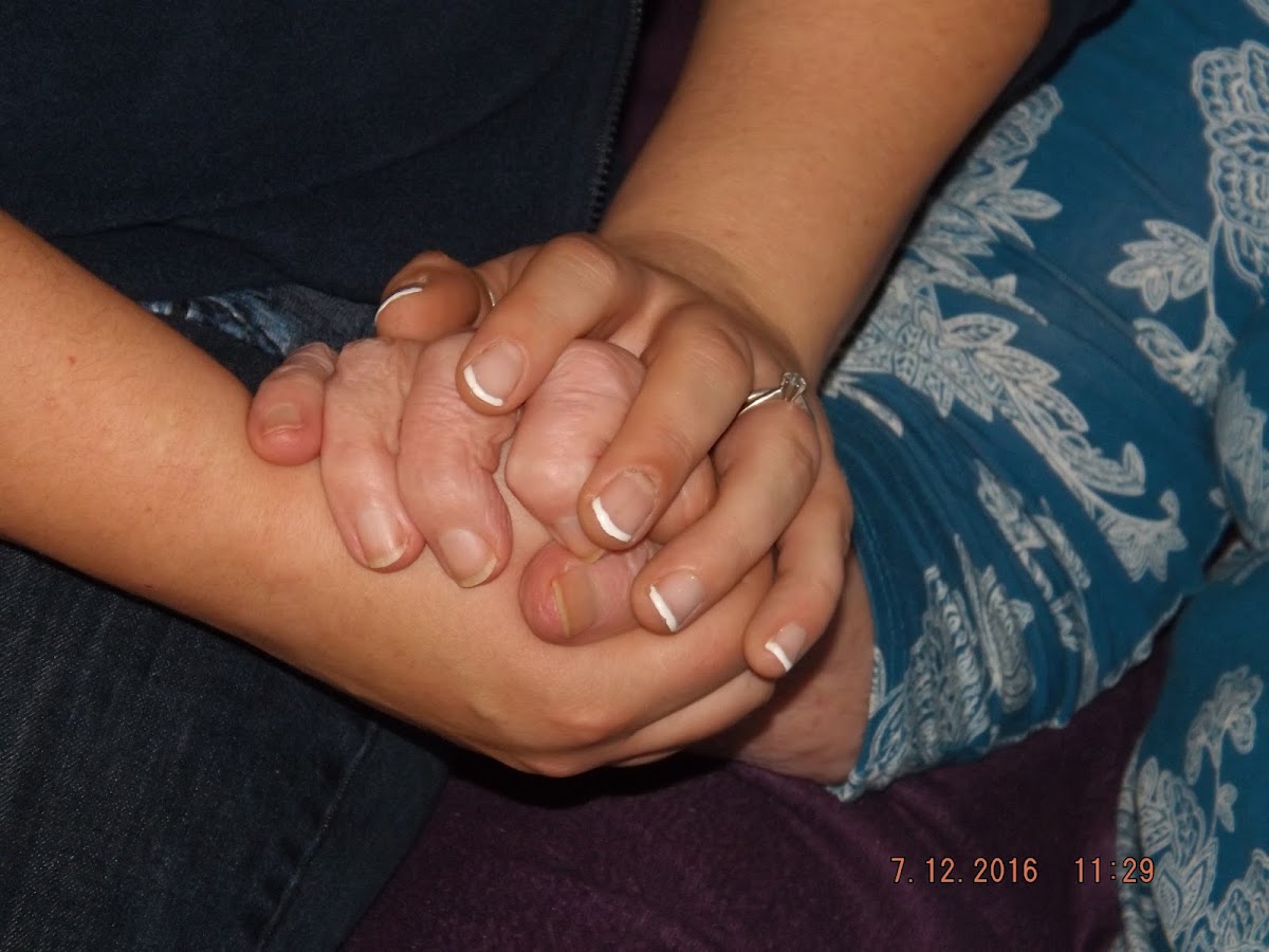 Triple Home Care