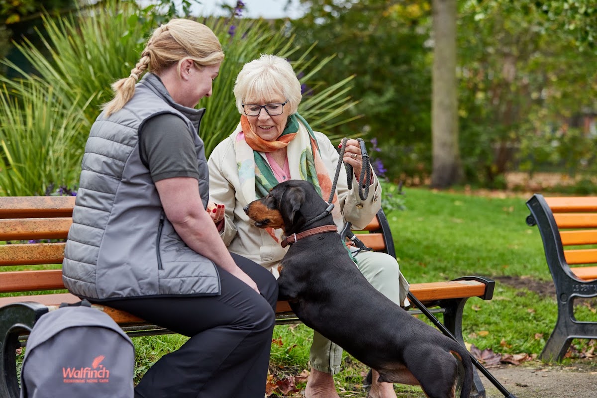 Walfinch Homecare Bromley and Sevenoaks