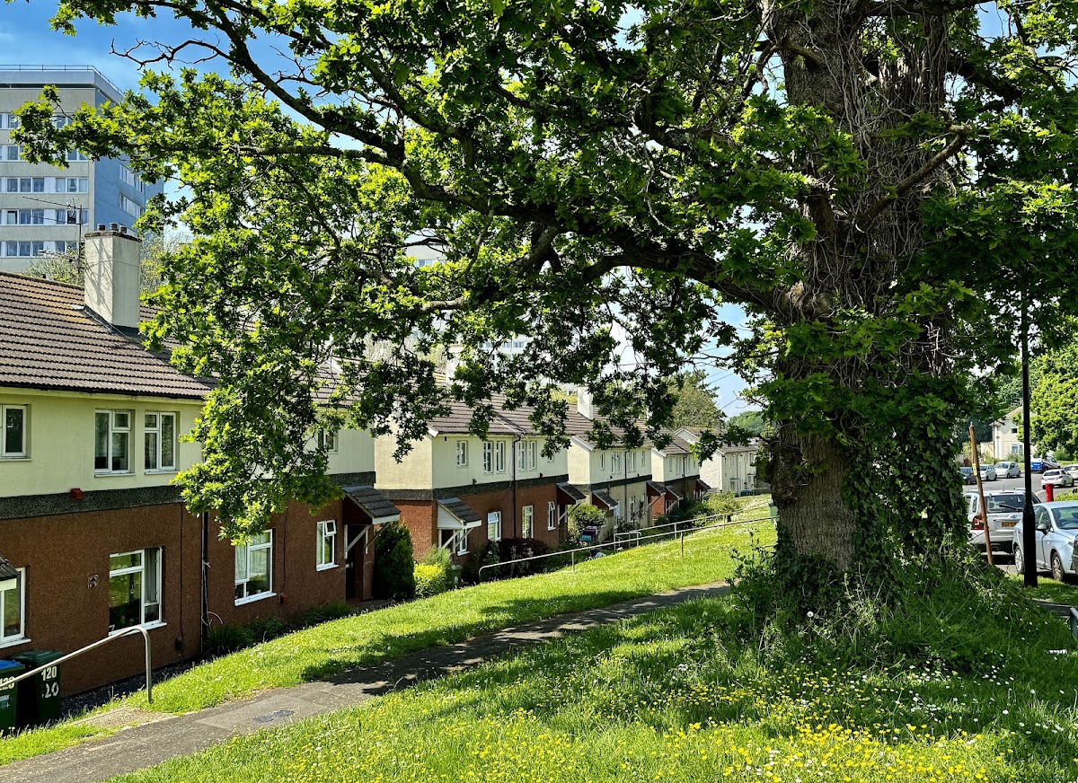Weston Court