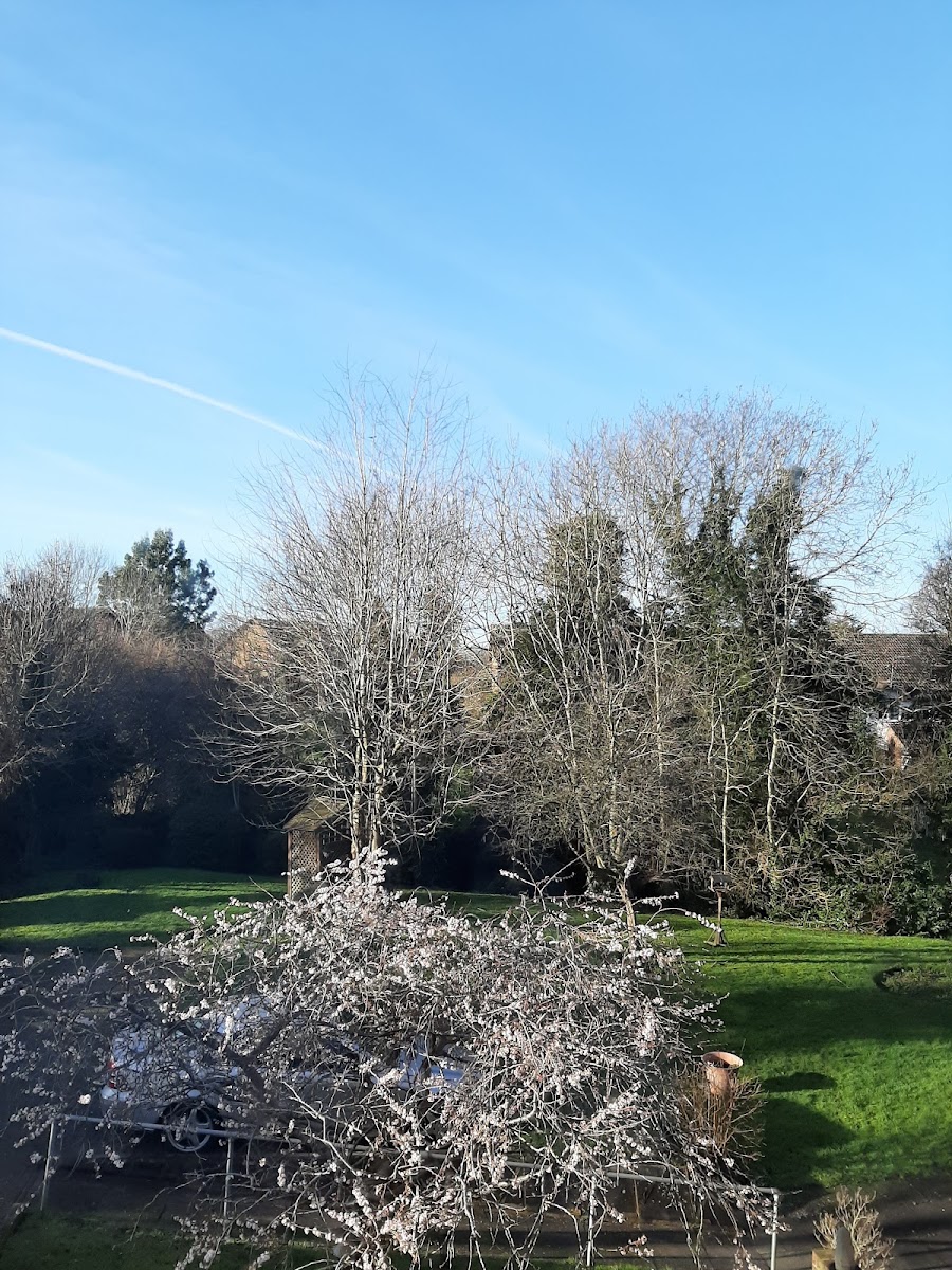 Willows Sheltered Housing
